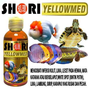 White Spot: Parasit Penyebab Ikan Koi Sakit