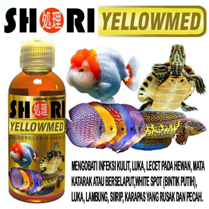 White Spot: Parasit Penyebab Ikan Koi Sakit